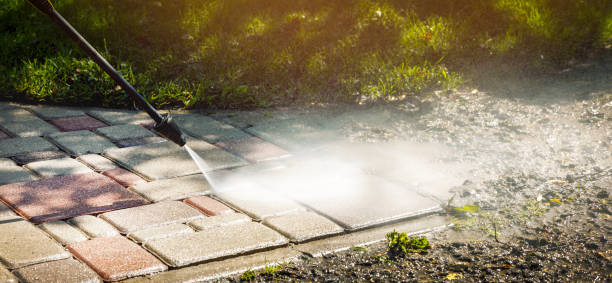 Best Fence Cleaning  in Juarez, TX